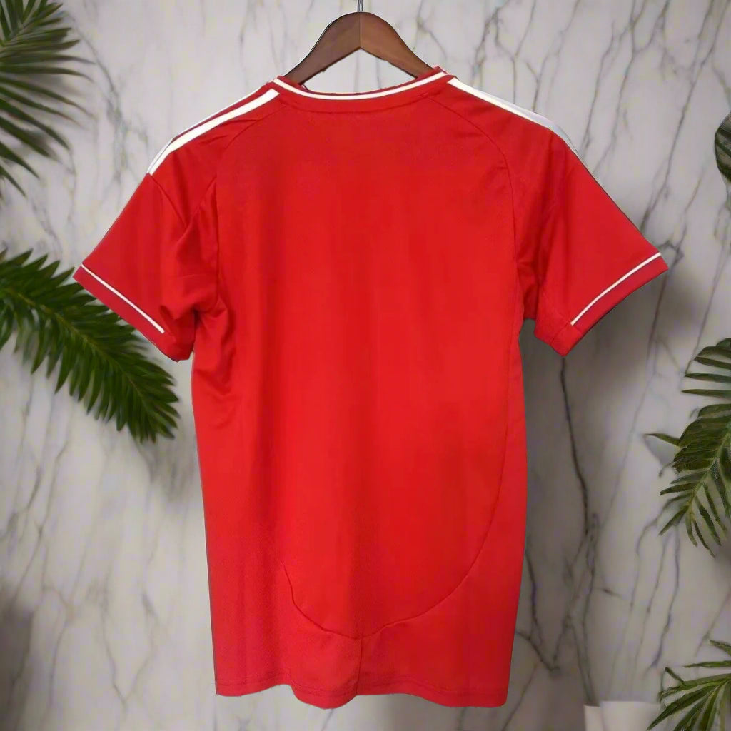 Red shirt with white trim on a hanger against a grid background