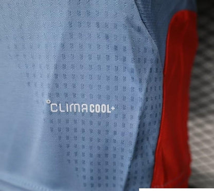 2026 Japan World Cup Away Jersey