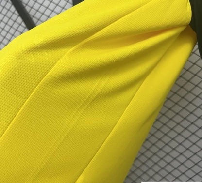 25/26 Borussia Dortmund Yellow Special Jersey