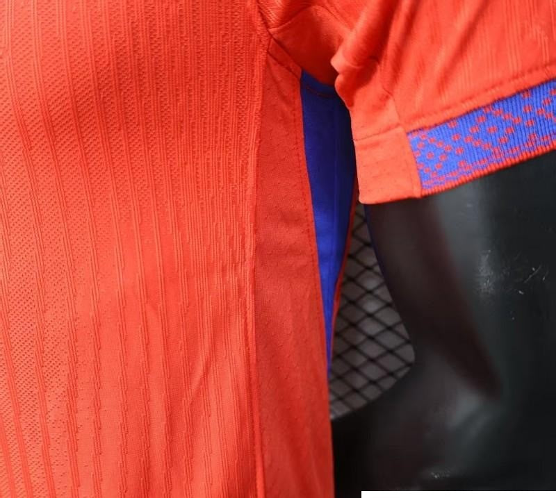 Player Version 2025 Norway World Cup Home Jersey